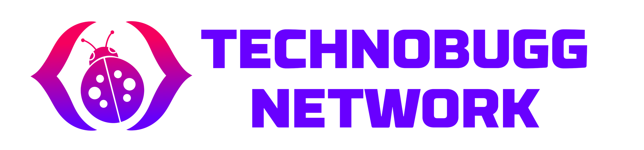 TechnoBugg Network